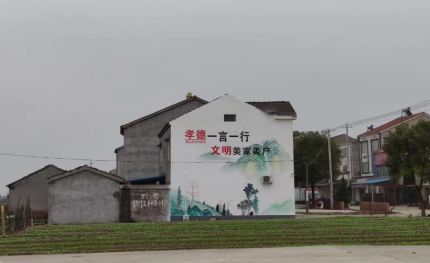 天门新农村墙绘